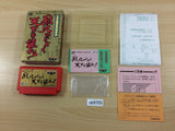 Rekka no Gotoku Tenka wo Tore BOXED NES Famicom Japan - UB9703
