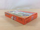UC4968 Negima! Private Lessons 2 BOXED GameBoy Advance Japan