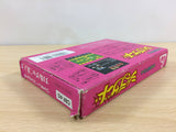 The Magic of Scheherazade Arabian Dream BOXED NES Famicom Japan - UB7988