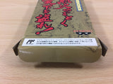 Rekka no Gotoku Tenka wo Tore BOXED NES Famicom Japan - UB9703
