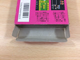 The Magic of Scheherazade Arabian Dream BOXED NES Famicom Japan - UB7988