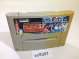 Nichibutsu Collection 1 Hanafuda Casino Bar SNES Super Famicom Japan - SC9397