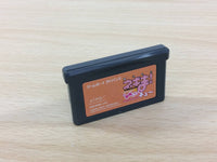 UC4968 Negima! Private Lessons 2 BOXED GameBoy Advance Japan