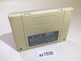 F1 Grand Prix Racing SNES Super Famicom Japan - AZ7539