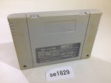 Mahjong Hisshou Den Naki no Ryuu SNES Super Famicom Japan - SE1829