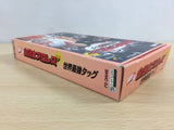 Zen Nippon ProWrestling Sekai Saikyou Tag BOXED SNES Super Famicom - UB8516