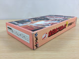 Zen Nippon ProWrestling Sekai Saikyou Tag BOXED SNES Super Famicom - UB8516