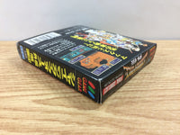 dh7655 Shining Force Gaiden Final Conflict BOXED Sega Game Gear Japan