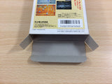 Volleyball Twin BOXED SNES Super Famicom Japan - UD4570