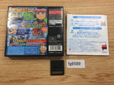 Inazuma Eleven 2 Blizzard BOXED Nintendo DS Japan - FG6589