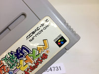 SC4731 Oraga Land Shusai Best Farmer Shuukaku Sai SNES Super Famicom Japan