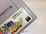 SC4731 Oraga Land Shusai Best Farmer Shuukaku Sai SNES Super Famicom Japan
