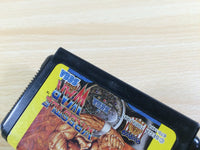 de9683 Wrestle War Mega Drive Genesis Japan