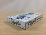 Armadillo BOXED NES Famicom Japan - UD8631