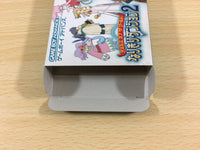 UA9683 Tales of the World Narikiri Dungeon 2 BOXED GameBoy Advance Japan