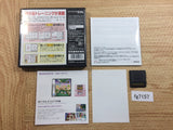Brain Age More Training in Minutes a Day! BOXED Nintendo DS Japan - FG7157