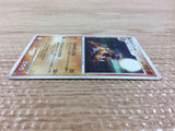 CB3853 Hippowdon Ground - DPE08 Hippowdon Pokemon Card TCG Japan
