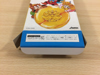 UD6839 Dokapon 3 2 1 Arashi wo Yobu Yuujou BOXED SNES Super Famicom Japan