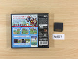 Mario vs Donkey Kong 2 March of the Minis BOXED Nintendo DS Japan - FG8957
