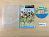 Harvest Moon Magical Melody Shiawase No Uta Disc GameCube Japan - DF9510