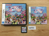 Enchanted Folk and the Magical Town BOXED Nintendo DS Japan - FG6593
