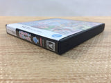Enchanted Folk and the Magical Town BOXED Nintendo DS Japan - FG6593