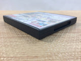 Enchanted Folk and the Magical Town BOXED Nintendo DS Japan - FG6593