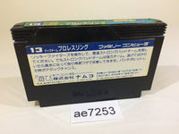 AE7253 Tag Team Pro Wrestling NES Famicom Japan