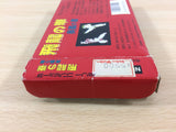 Hiryu no Ken BOXED NES Famicom Japan - UB9707