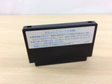 Hiryu no Ken BOXED NES Famicom Japan - UB9707