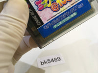 BK5489 Net de Get Mini-Game @ 100 GameBoy Game Boy Japan