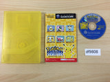 Pokemon Channel Disc GameCube Japan - DF9808