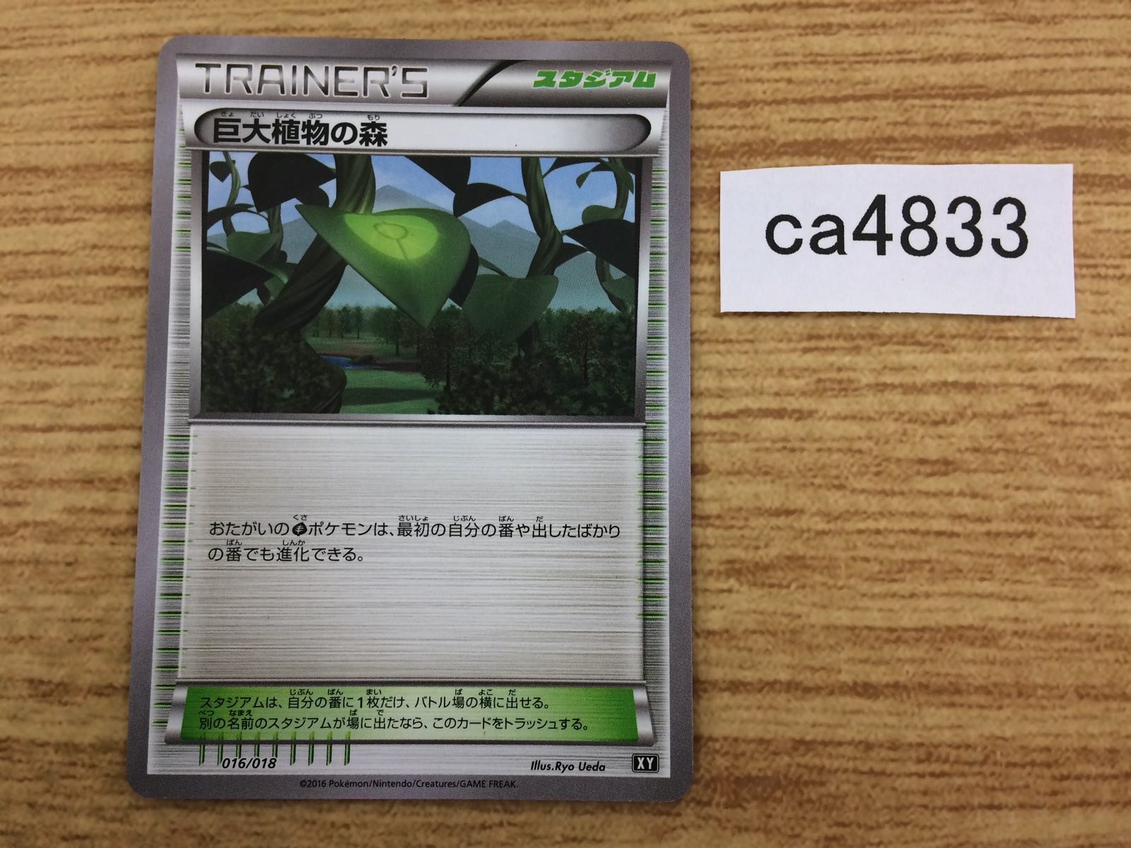 a01748_e8b63c81-f4b7-45a4-8e41