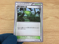 CA4833 Forest of Giant Plants I - XY 016/018 Pokemon Card TCG