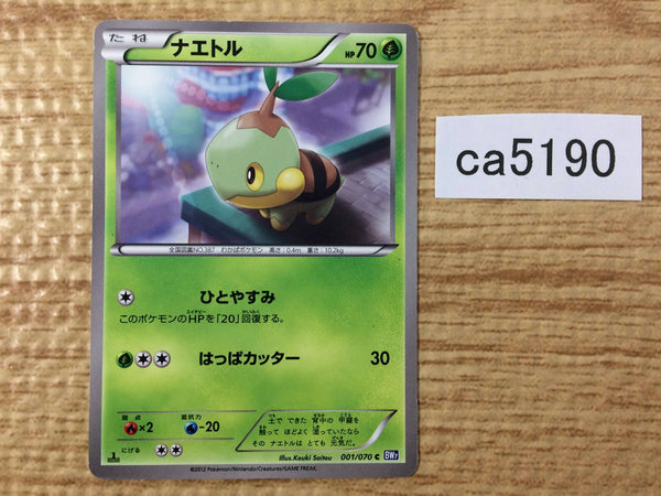 CA5190 Turtwig Grass C BW7 001/070 Pokemon Card TCG Japan