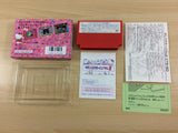 Sanrio Carnival 2 Kitty BOXED NES Famicom Japan - UB9709