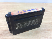 DH8077 Sorcerian BOXED Mega Drive Genesis Japan