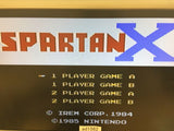 Spartan X Kung Fu Master NES Famicom Japan - AD1562