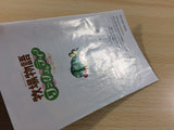 Harvest Moon A Wonderful Life GameCube Japan - FH1251