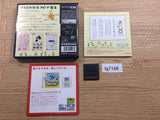 Big Brain Academy BOXED Nintendo DS Japan - FG7166