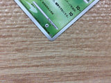 Wurmple Bug - DP1 DPBP#315 Pokemon Card TCG Japan - CB4211