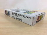 Janyuuki Gokuu Randa Mahjong BOXED SNES Super Famicom Japan - UC9411