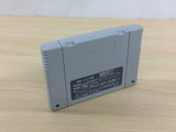 Janyuuki Gokuu Randa Mahjong BOXED SNES Super Famicom Japan - UC9411
