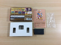 UD4192 Magical Quest Mickey Minnie Mouse 2 BOXED GameBoy Advance Japan