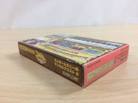 UD4192 Magical Quest Mickey Minnie Mouse 2 BOXED GameBoy Advance Japan