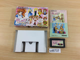 UD6737 Oshare Princess 2 + Doubutsu Kyaranabi BOXED GameBoy Advance Japan