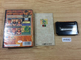 DH8082 NHK Taiga Drama Taiheiki BOXED Mega Drive Genesis Japan