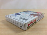 Hiryu no Ken Special Fighting Wars BOXED NES Famicom Japan - UD3298