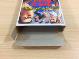 Hiryu no Ken Special Fighting Wars BOXED NES Famicom Japan - UD3298