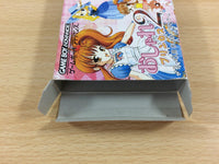 UD6737 Oshare Princess 2 + Doubutsu Kyaranabi BOXED GameBoy Advance Japan
